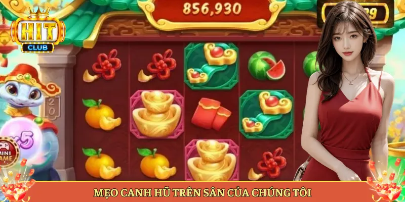 Mẹo Canh Hũ Trên Sân Của Chúng Tôi