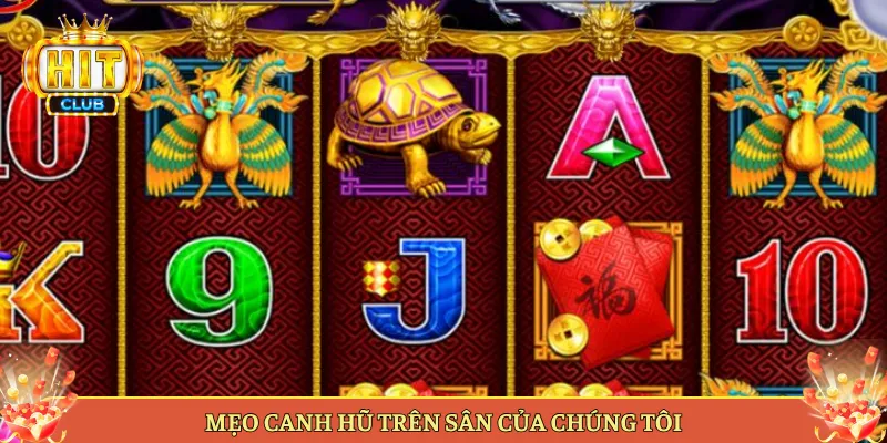 Mẹo Canh Hũ Trên Sân Của Chúng Tôi