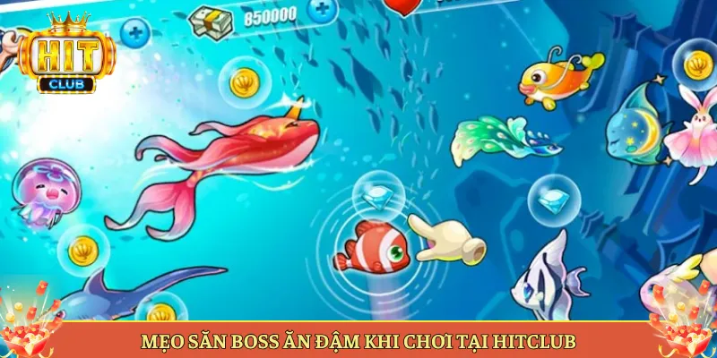 Mẹo Săn Boss Ăn Đậm Khi Chơi Tại Hitclub