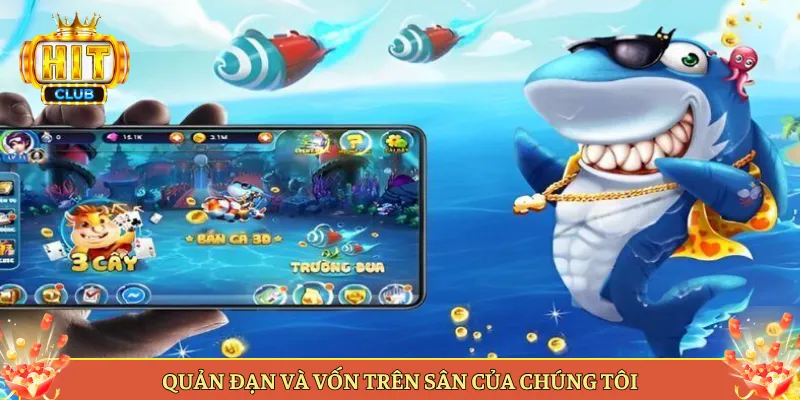 Quản Đạn Và Vốn Trên Sân Của Chúng Tôi