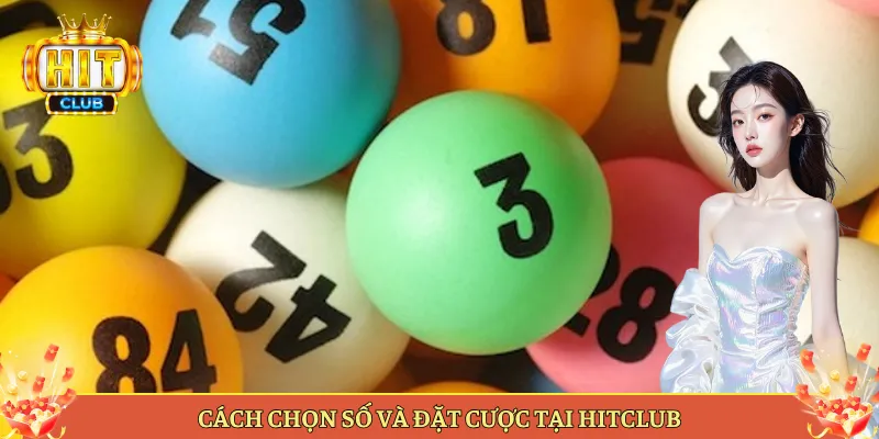 Cách Chọn Số Và Đặt Cược Tại Hitclub
