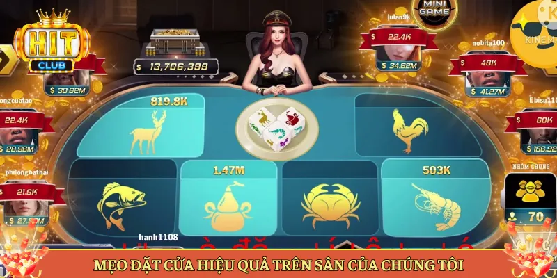 Mẹo Đặt Cửa Hiệu Quả Trên Sân Của Chúng Tôi