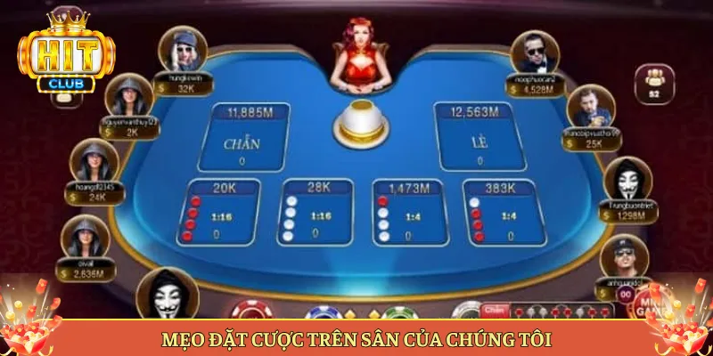 Mẹo Đặt Cược Trên Sân Của Chúng Tôi