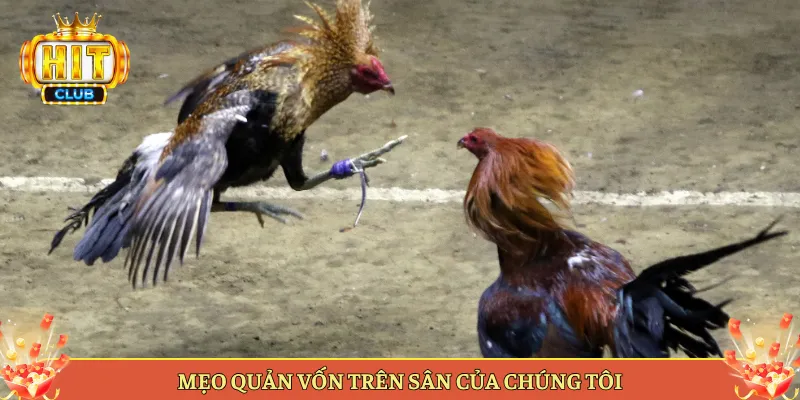 Mẹo Quản Vốn Trên Sân Của Chúng Tôi